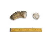 F 00100
<br/>
<br/>
<em></em>